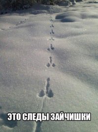 Следы в неизвестность