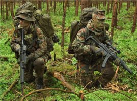 У немцев " Flecktarn"! А,это мультикам!