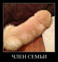 Точная копия лица из гипса