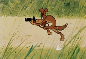 Я за фотооохоту
Охоту ради пропитания, я понимаю, а прикормить животное, а потом застрелить, ни-ни...