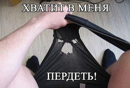 Бабушкины трусы: новый тренд дизайнера Bullets and Bees