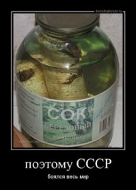 Еще к этим стереотипам. Рыбалка. Сок березовый.Варенье на зиму. Ну и гараж с медведем и реактором...