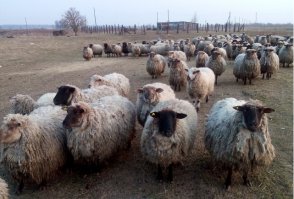 ЭЭЭЭЭ...БРАТ не бросай нас,совсем пропадем