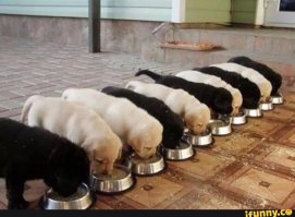 Эти 23 фотографии иллюстрируют то, что случается с миром, когда ты его не контролируешь 