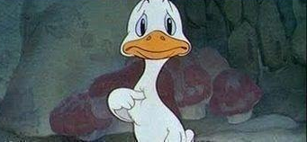 25 потрясающих фотографий, которые способны удивить