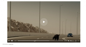 Кто выпустил гайца на дорогу???