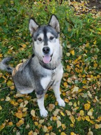 мой минёр )))))))))