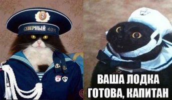 Кадры, которые стали последними для своих авторов