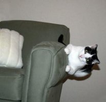 А если перевернуть фото влево...