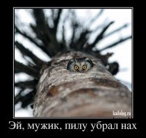 Позитивная подборка 