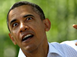 Фото смешных обезьянок