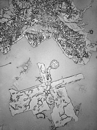 Вы, Дмитрий, видимо не совсем внимательно читали пост. Вот же: слёзы облегчения.