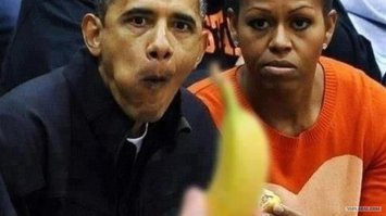 Фото смешных обезьянок