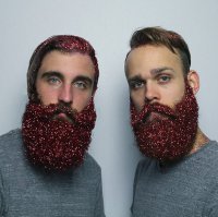 "The gay beards - two best friends from this cozy little nest called Portland, Oregon. We tend to think the world needs more love & laughter". Они себя лучшими друзьями называют, но почему-то их ролики подписаны The gay beards. Эти фрики что только не вытворяют со своими бородами)) Походу все-таки педики, а то странное хобби у двух друзей