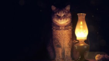 "Верни телефон, мразь!"