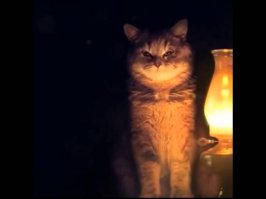 "Верни телефон, мразь!"