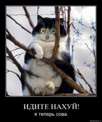 Чутка поднять настроение  