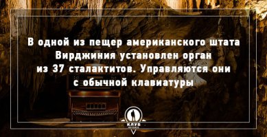 Шта-а? Чё за бред?