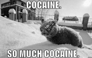 12 неоднозначных вещей, которые сделал Чарли Шин