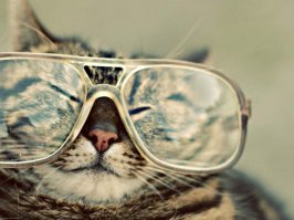 мельче бы еще...