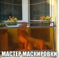 Эти 40 образцов архитектурного искусства доказывают, что русские балконы всем балконам балконы
