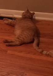 Две кровати