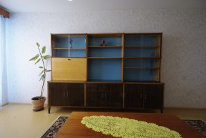 А какже без этой секции? Такая стояла практически в каждой советской квартире!