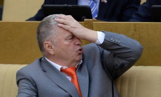С чувством юмора у хозяев этих собак что-то не так! 