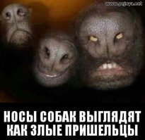 На сон грядущий: 15 фотографий, которые не дадут вам сегодня уснуть