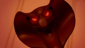 Секрет раскрыт