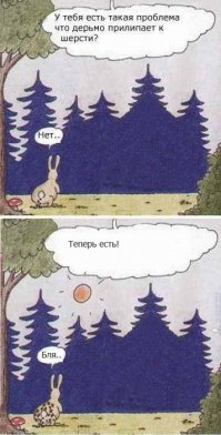 Туалетная бумага. Как люди додумались не подтираться рукой