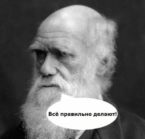 Безопасность превыше всего