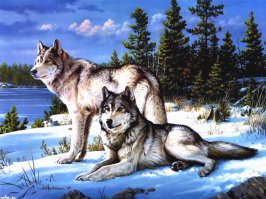 а у меня вот такие на рабочем столе .