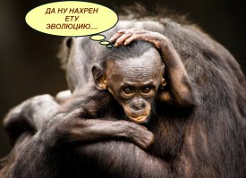 20 человек, которых вы можете встретить только в супермаркете Walmart!