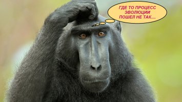 20 человек, которых вы можете встретить только в супермаркете Walmart!