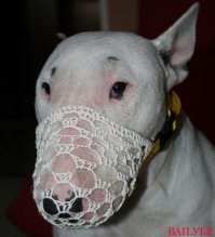 Монгольская бабушка приехала.