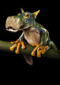 Магия вне Хогвартса или мастера фотошопа, которые творят чудеса