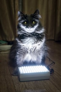 Помощь с удобрениями