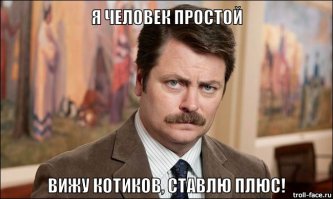 20 котов, которые умеют правильно расслабляться