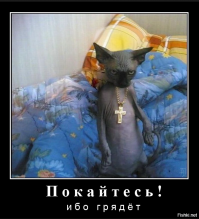 Брутальные мачо и романтики из социальных сетей, покажут вам новый уровень обольщения 