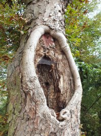 Даже оно завидует этой женщине