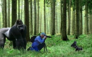 33 причины, почему фотограф дикой природы - лучшая профессия в мире