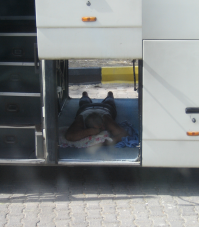 Когда путешествие начинается не так, как планировал