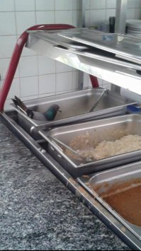 Свежий голубец