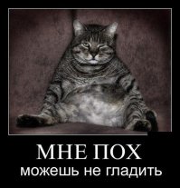 Оружейный натюрморт