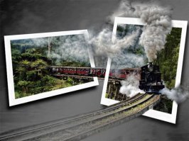 От Москвы до Владивостока: Путешествие через всю Россию в иллюстрациях  