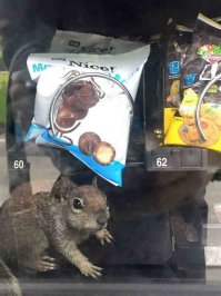 Фотоподборка за 01.12.2015