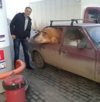 А почему без каски :)!?