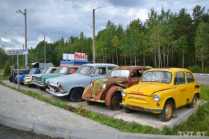 Молодцы. Вот что-то подобное на трассе Минск-Витебск.Там ещё и страусы живут.