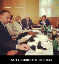 Только в России